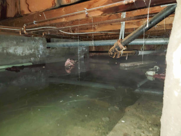 Best 24/7 water damage repair  in Centralia, WA