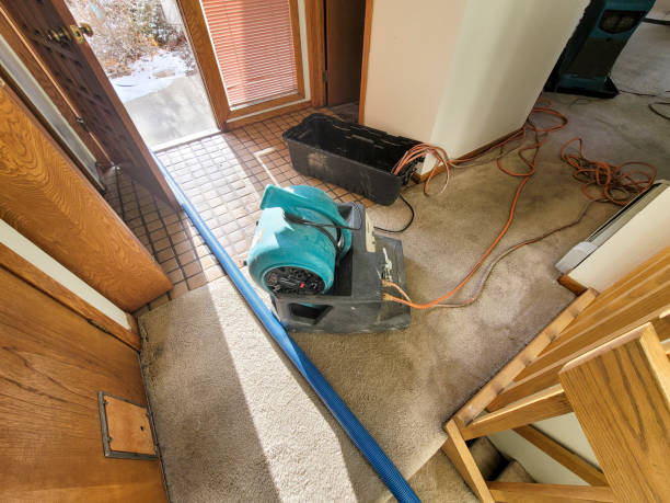 Best Commercial water damage restoration  in Centralia, WA