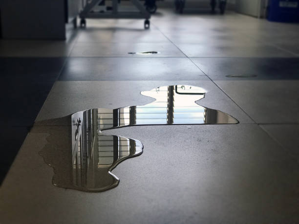 Best Water damage cleanup near me  in Centralia, WA