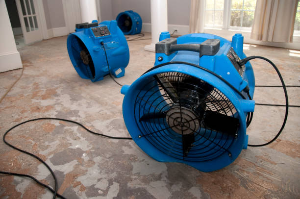  Centralia, WA Water damage restoration Pros
