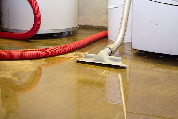 Best Ceiling water damage repair  in Centralia, WA