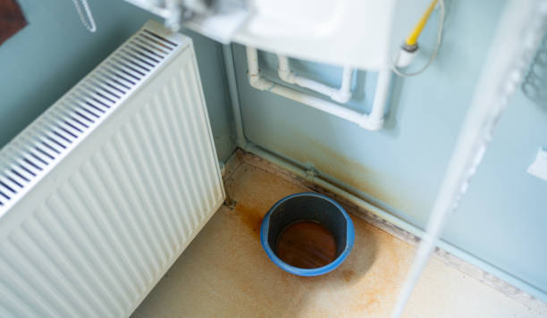 Best Professional water damage repair  in Centralia, WA