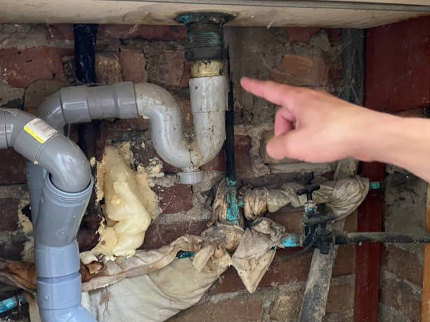 Best Carpet water damage restoration  in Centralia, WA